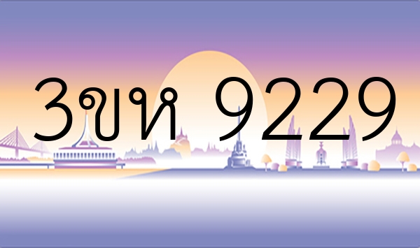 3ขห 9229